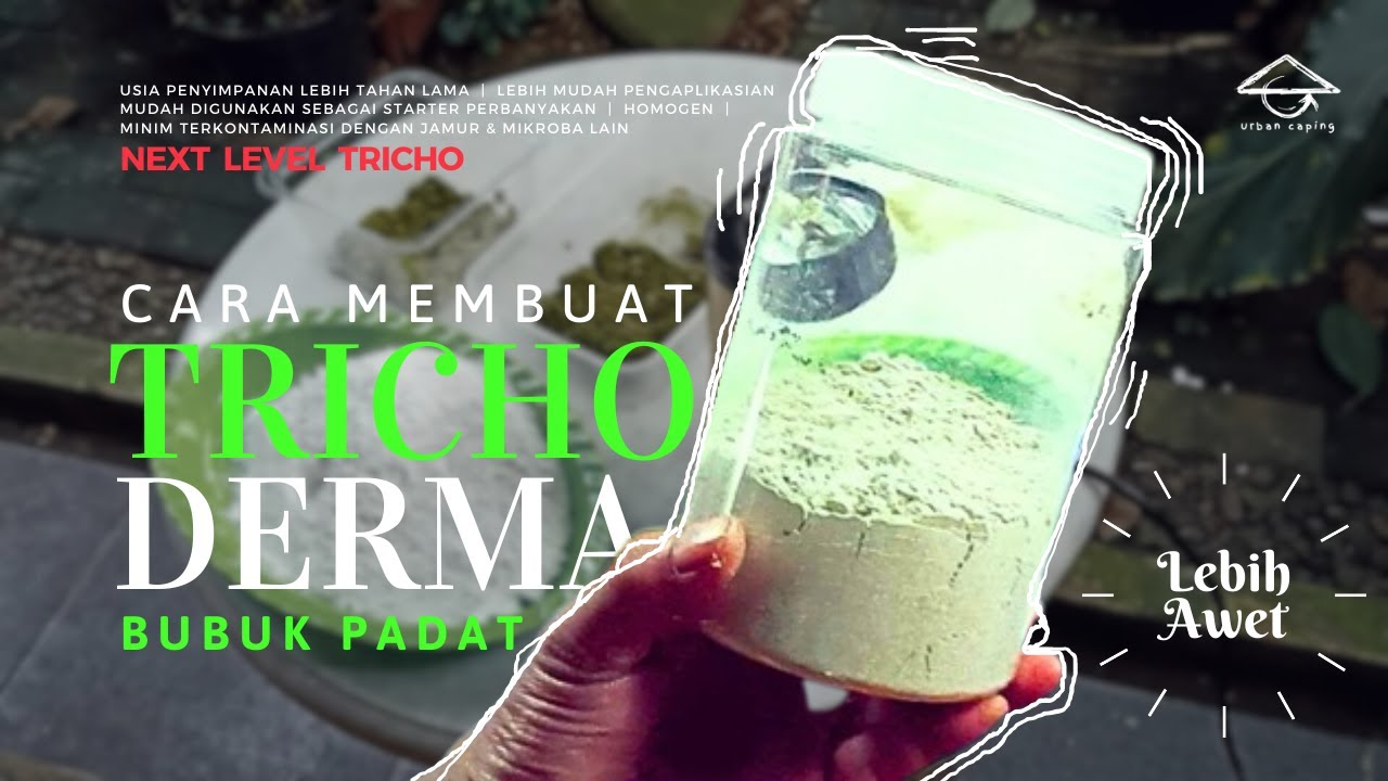 Cara Membuat Trichoderma Bubuk Padat | Mudah Perbanyakan - Usia Penyimpanan Lebih Awet
