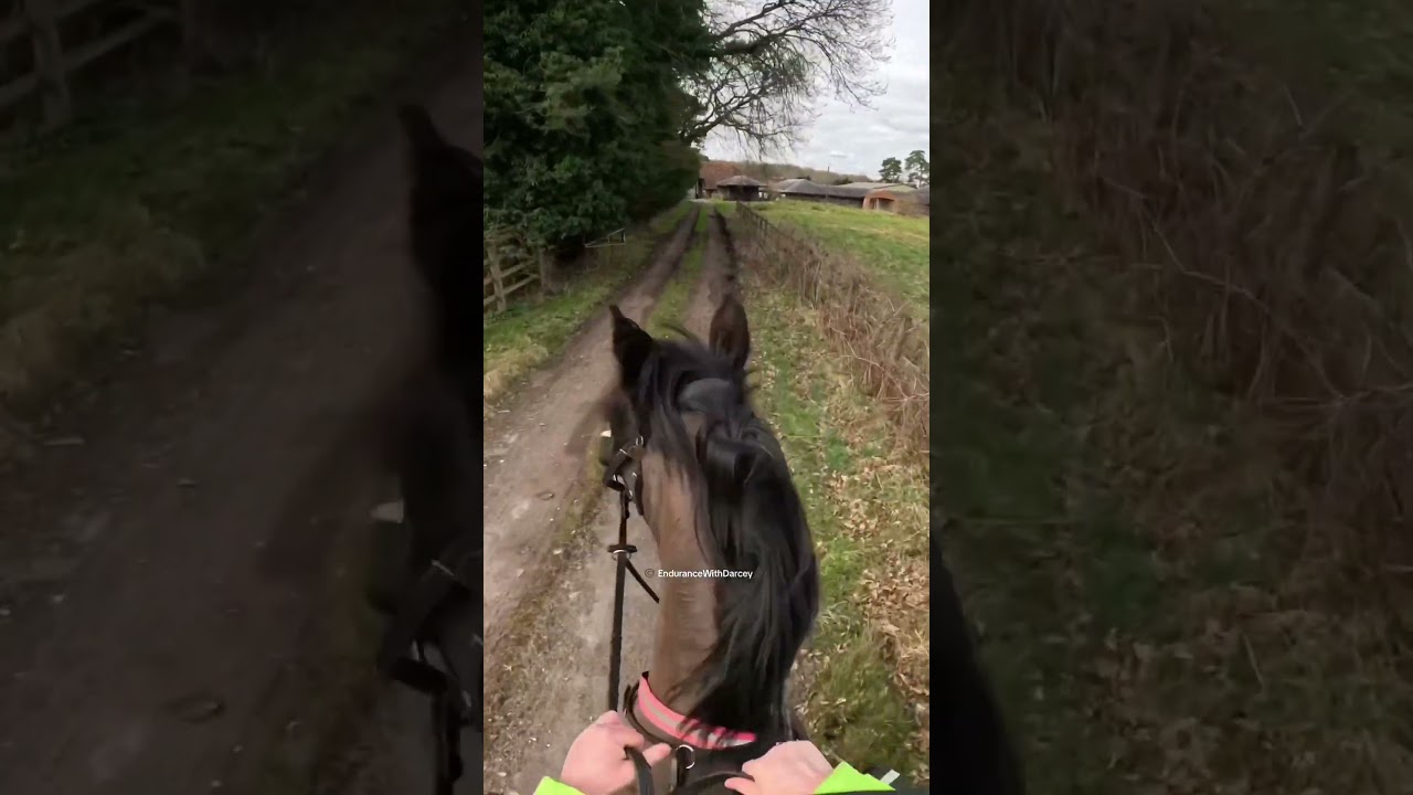C'&eacute;tait une balade &agrave; cheval riche en &eacute;v&eacute;nements 🤣 #cheval #&eacute;quitation #&eacute;quitation #gopro #&eacute;chec #...