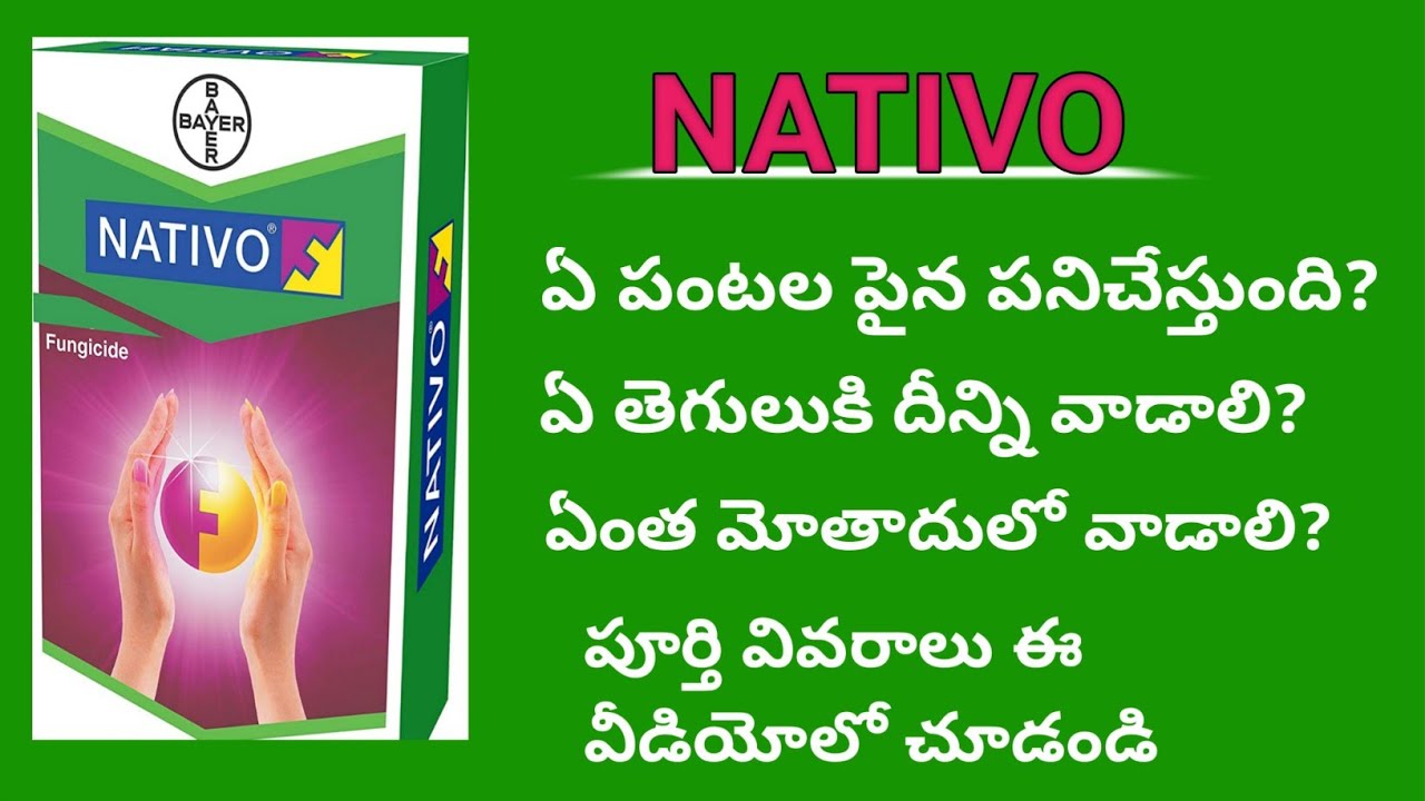 Best fungicide Bayer Nativo full specifications In telugu|Nativo fungicide full information|agri