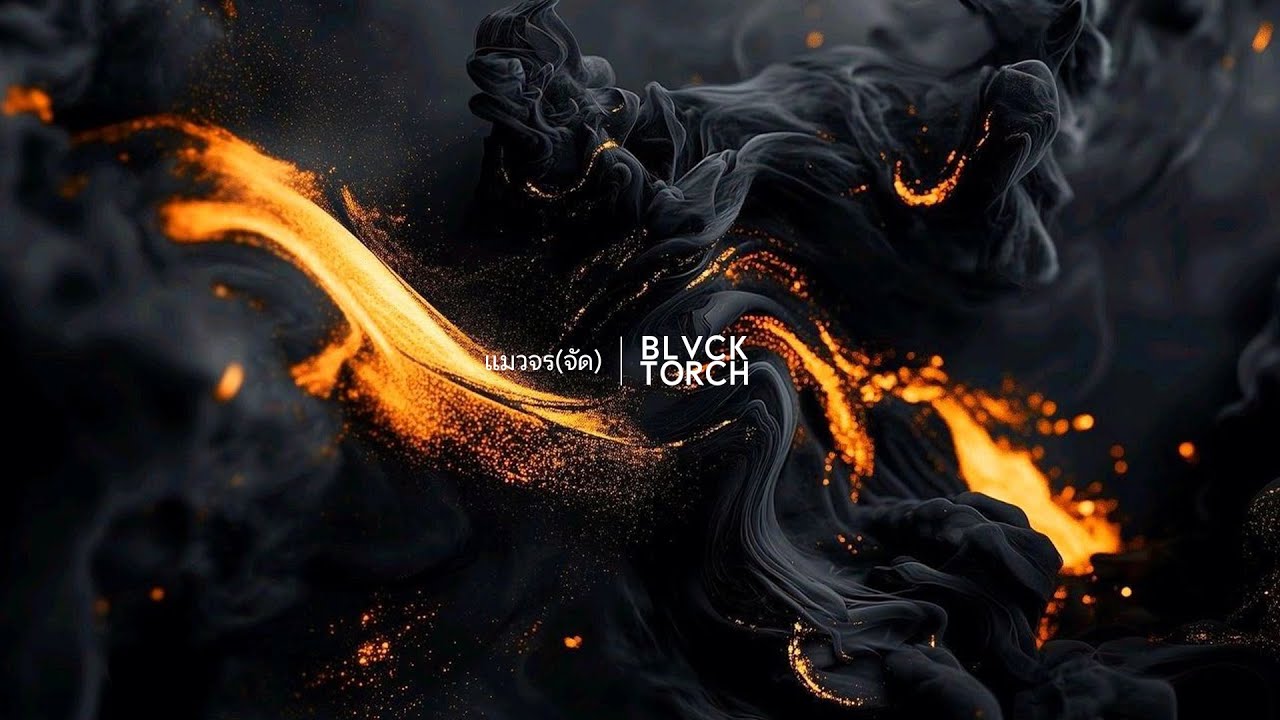 แมวจร(จัด) - BLVCKTORCH ][Official Audio]