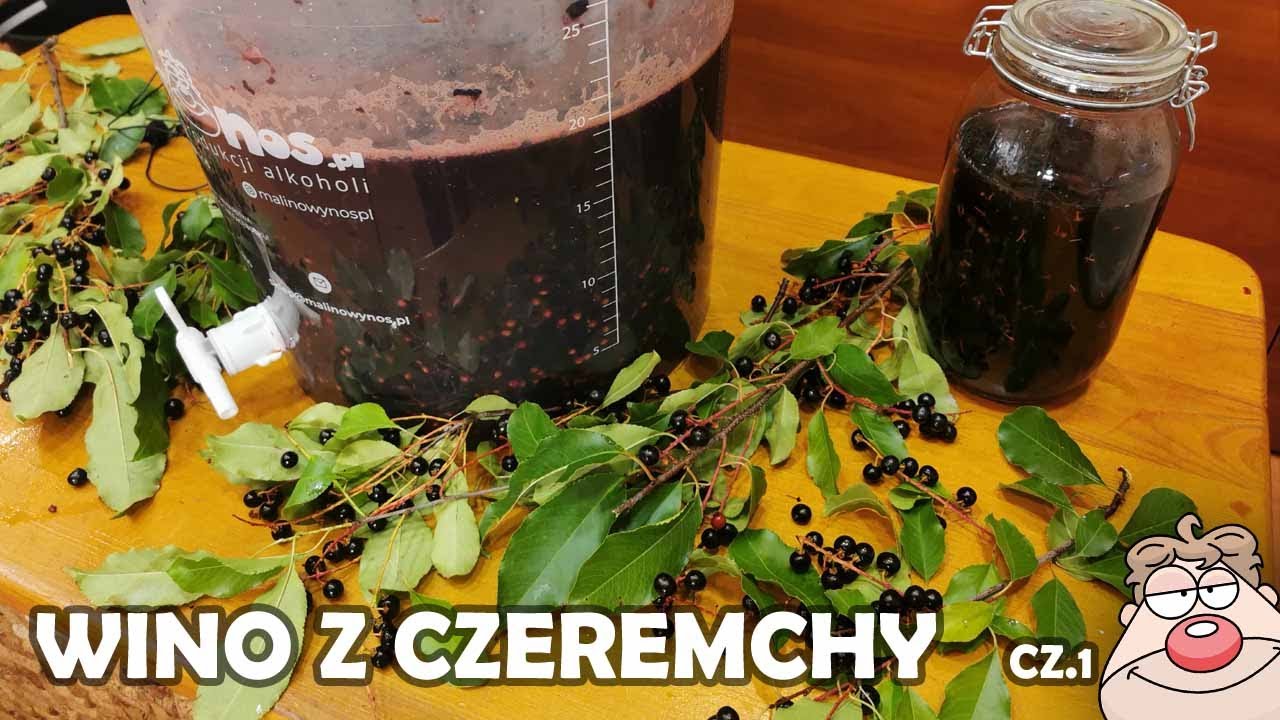 Przepis na jaki wszyscy czekali! Wino z czeremchy część 1!