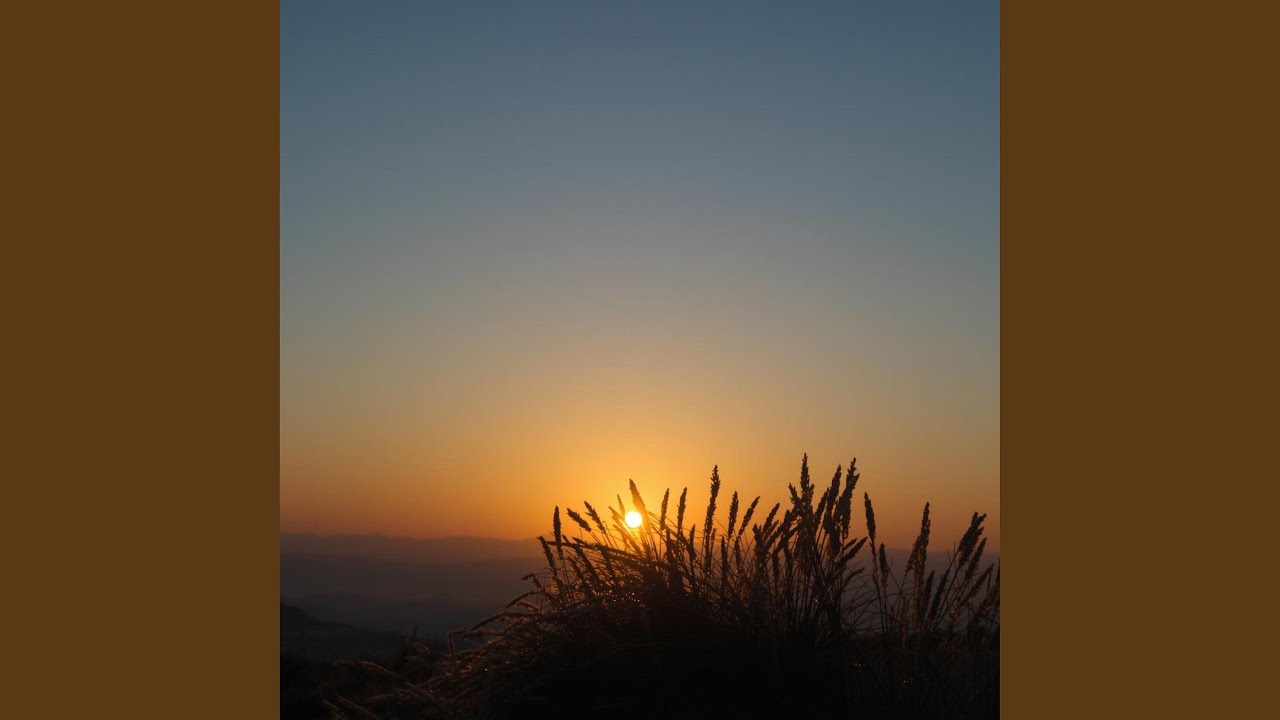 Soft Echoes in Amber