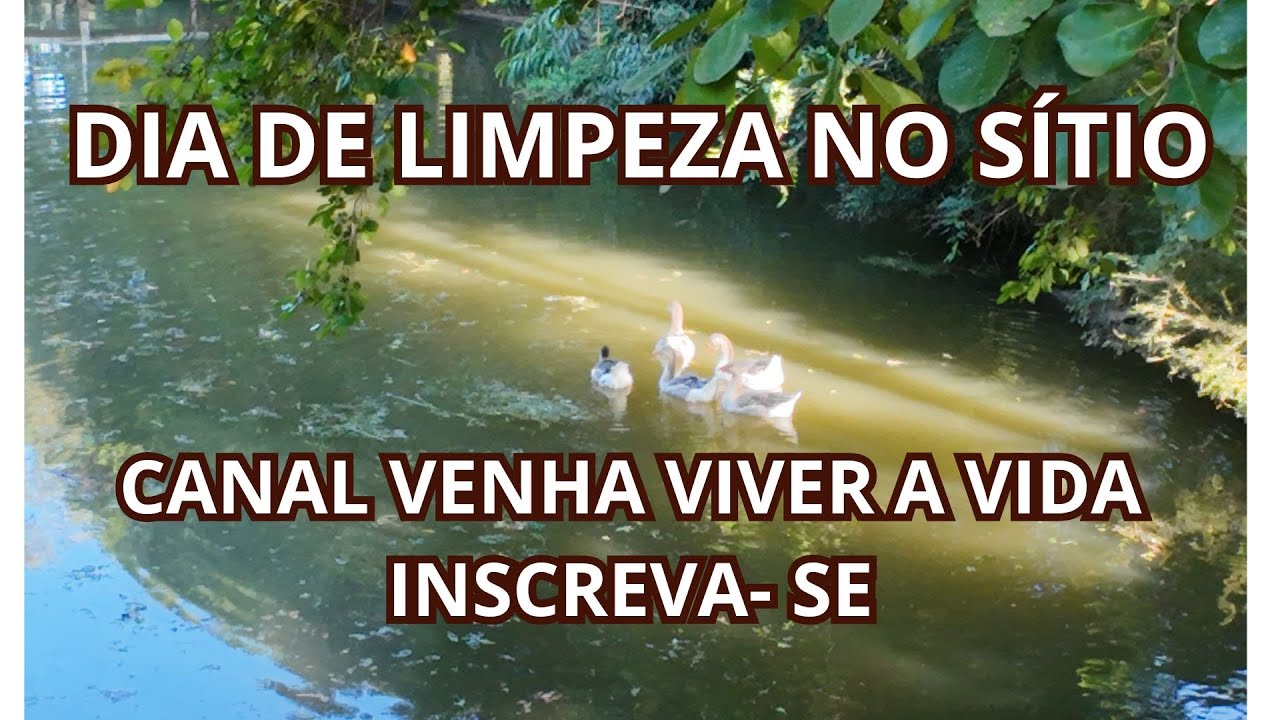 DIA DE LIMPEZA NO SÍTIO ( 4K )  CANAL VENHA VIVER A VIDA   INSCREVA   SE !!!