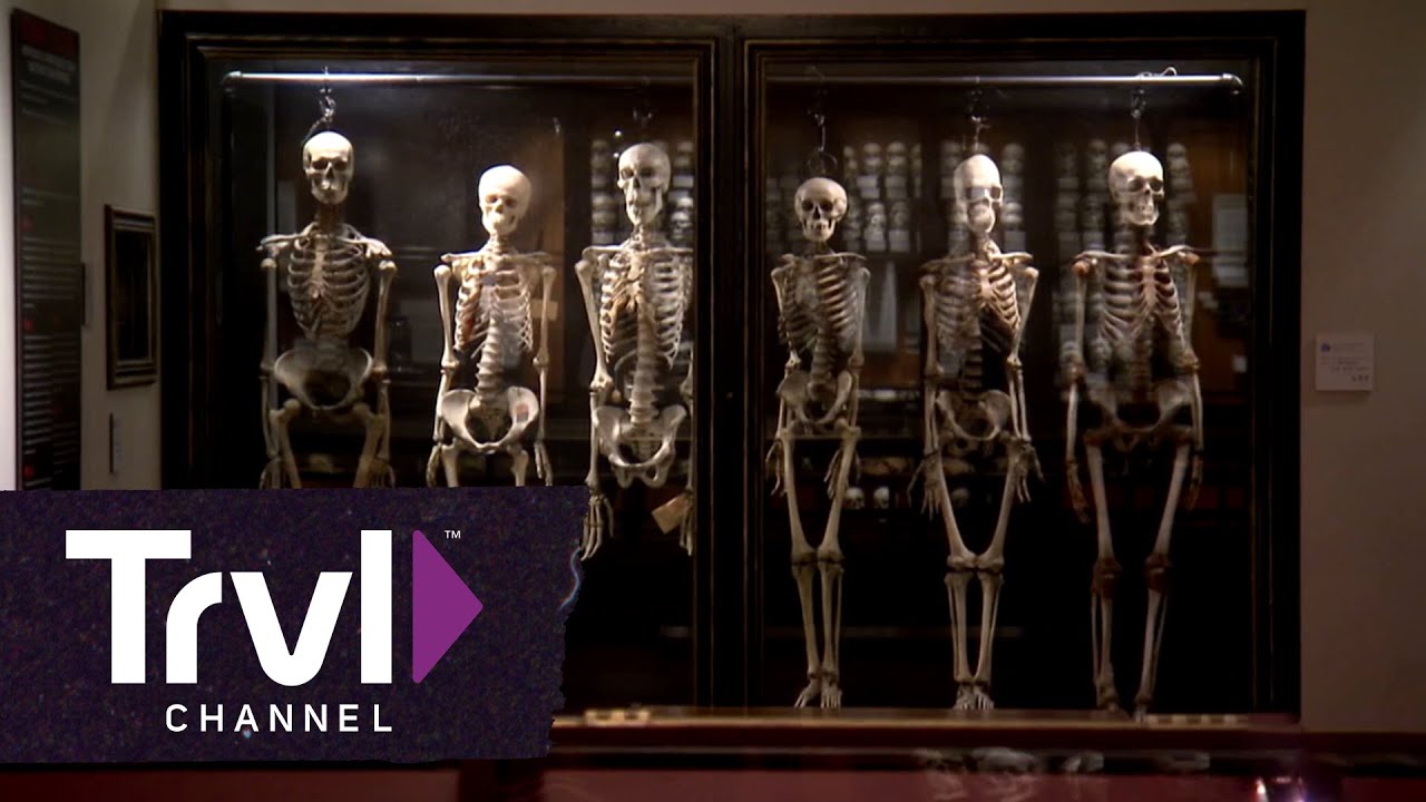Музей Мюттера в Филадельфии | Travel Channel