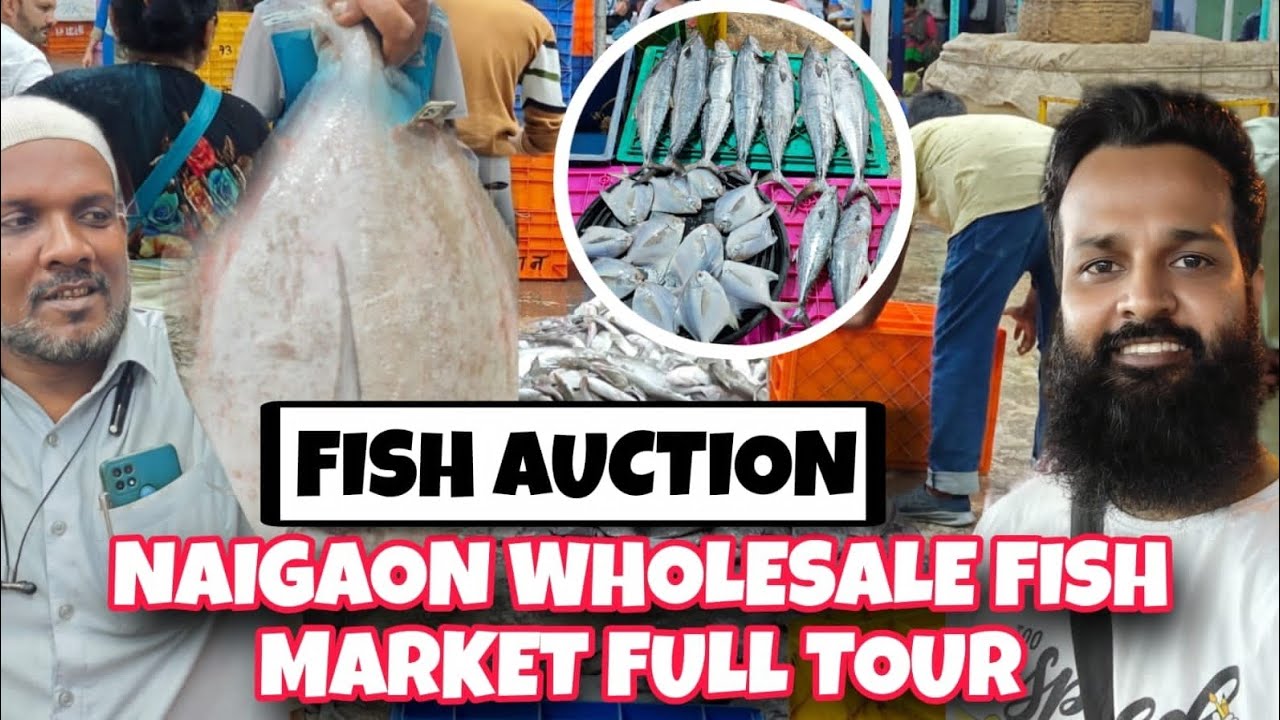 NAIGAON WHOLESALE FISH MARKET 🦈🐟🐬🦀 FISH AUCTION (BAZAAR HUI SASTI) BIGGEST WHOLESALE FISH MARKET 🦀