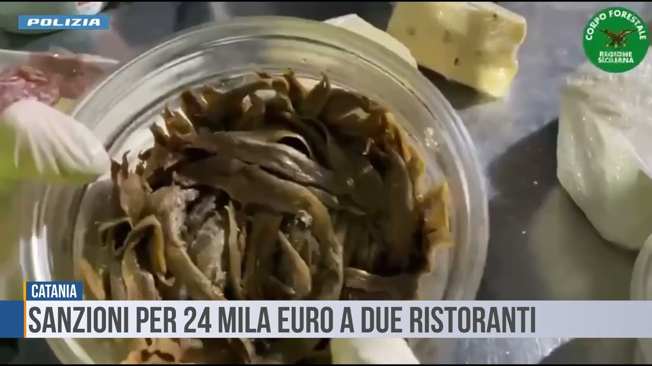 Catania: sanzioni per 24 mila euro a due ristoranti