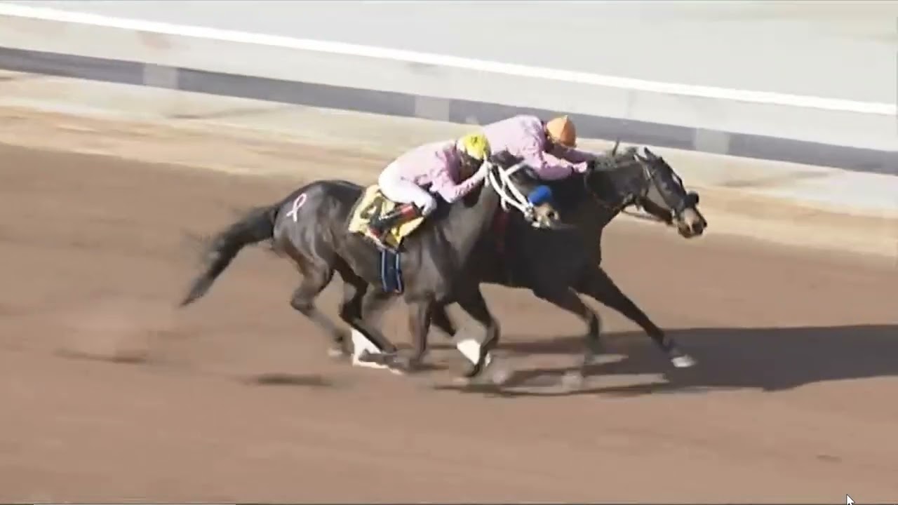 R9 Sunland Park 22 Feb 2026