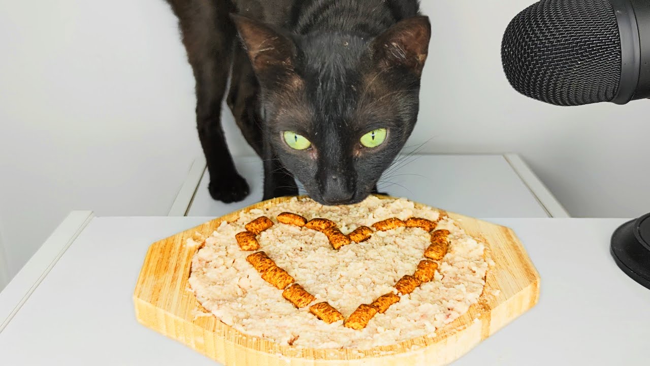 Cat eating heart shaped food ASMR