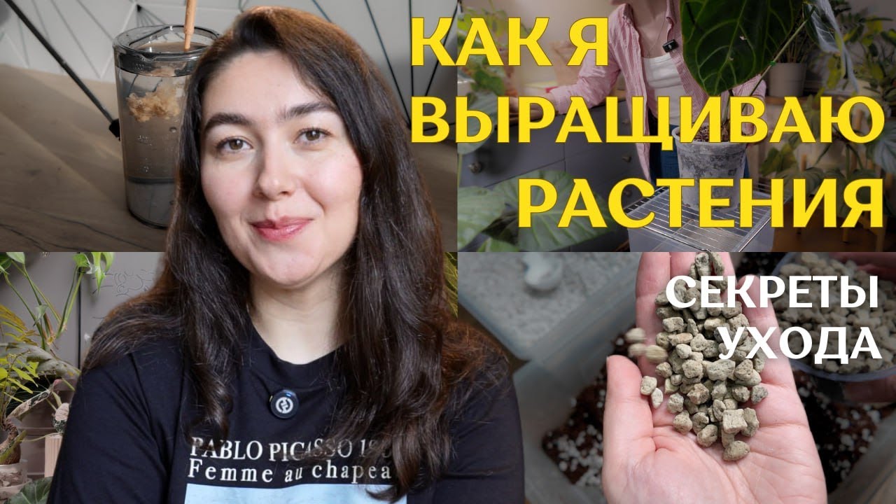 в КАКОМ ГРУНТЕ выращиваю? КАК и чем УДОБРЯЮ? | ВРЕДИТЕЛИ, полив, СВЕТ и профилактика 🪴