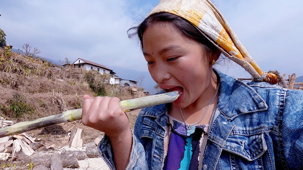 manjita rai went down to her husband village house || Himalayan life ||