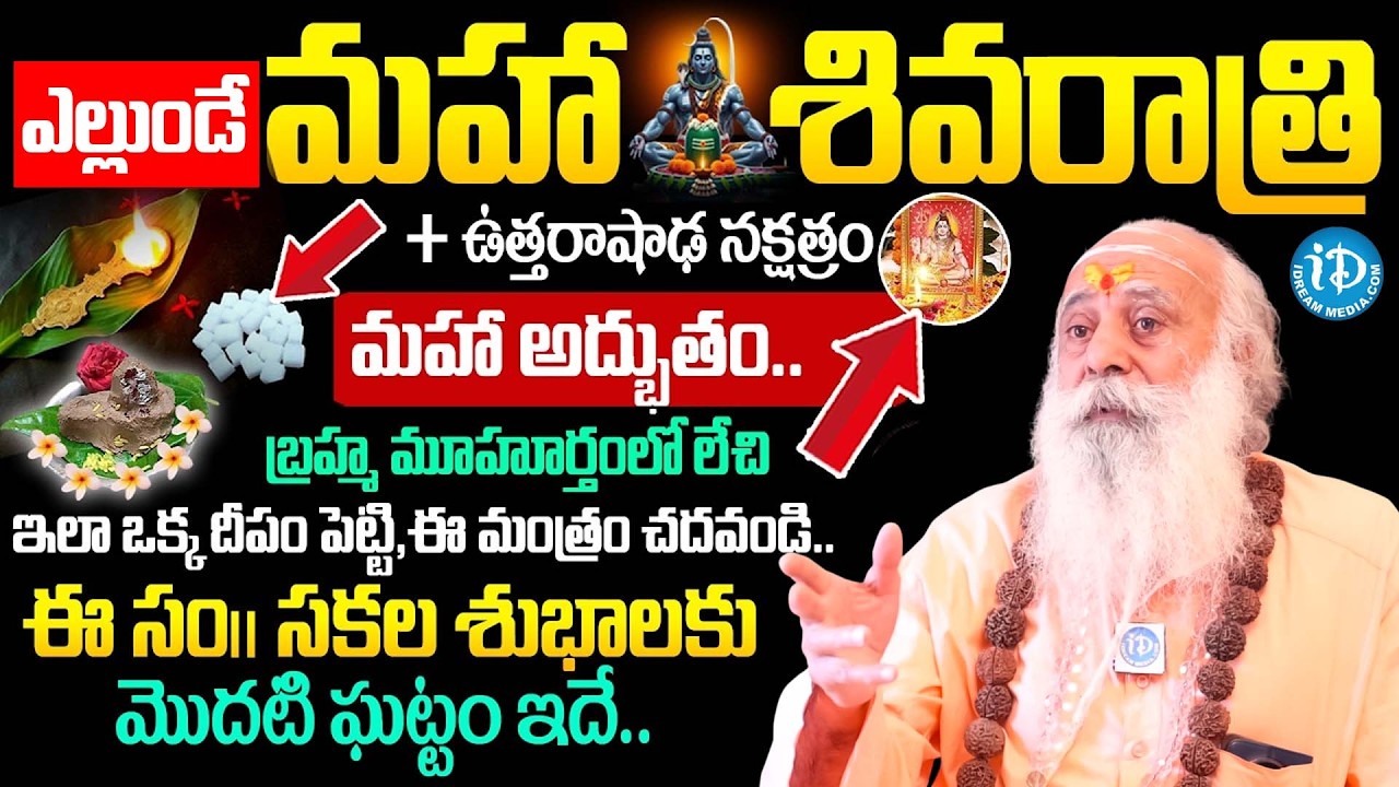 మహాశివరాత్రి పూజావిధానం.. | Baba Santh Sadananda Giri About Mahashivaratri Pooja 2026 DOs & DONT's