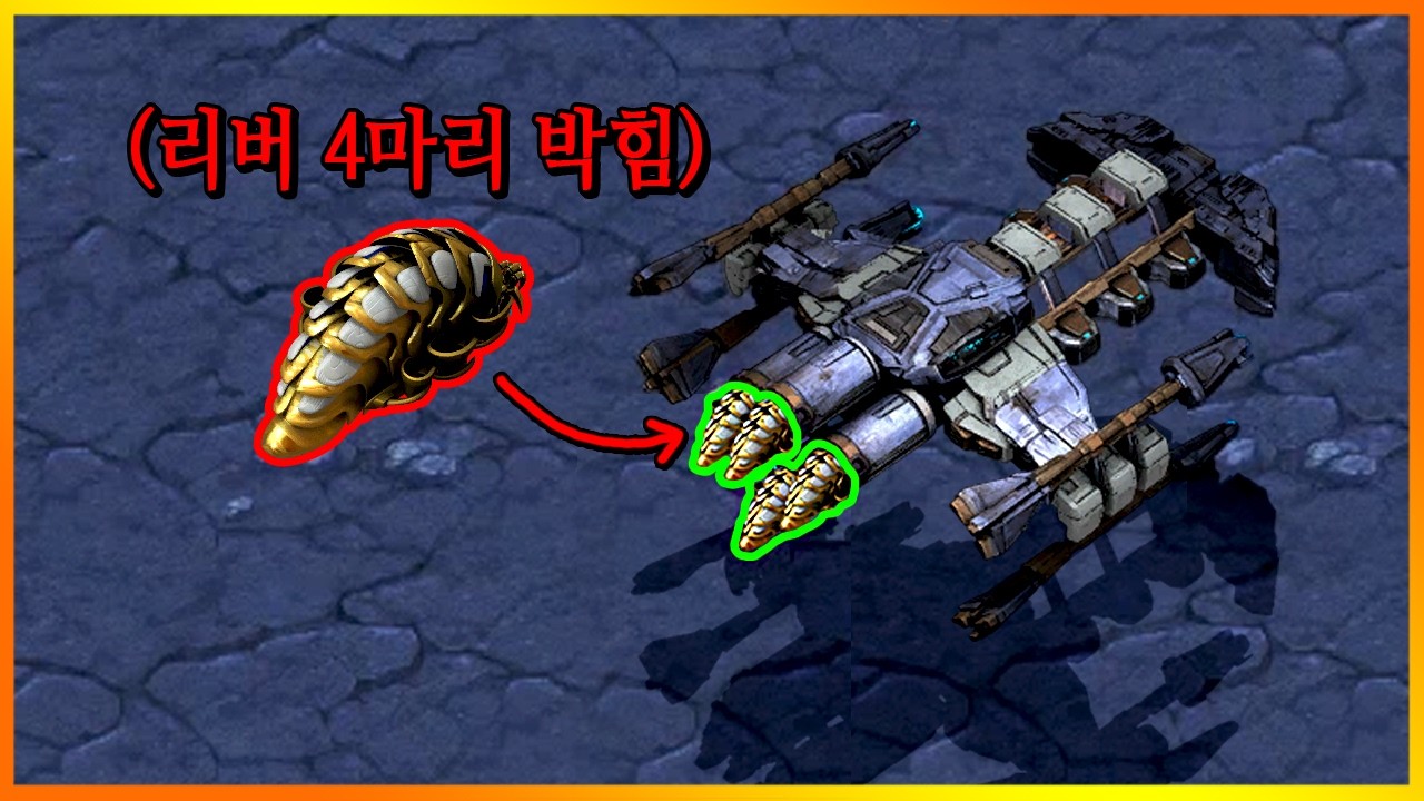 배틀크루저에 리버 4마리 박았다.