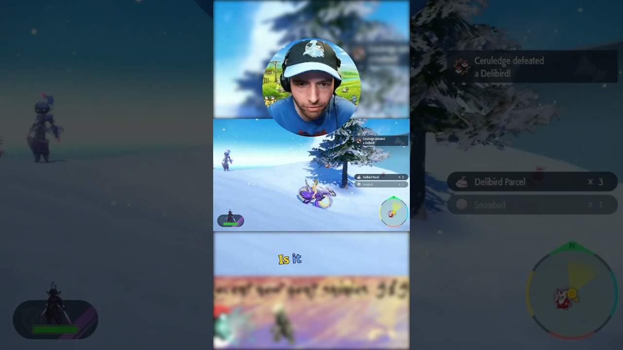 What the Delibird is going on here?!
