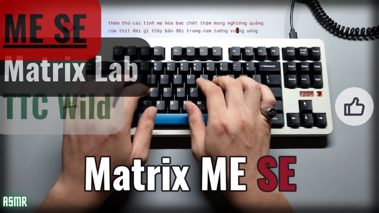 ✔Matrix ME SE | TTC Wild | Chilling & Typing ASMR 8mins | KeeBeats
