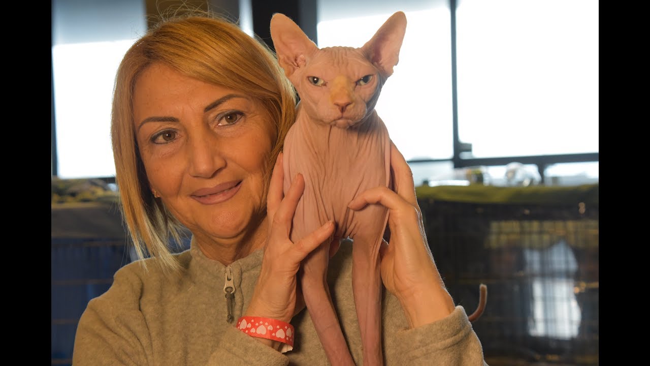 World Cats  Expo Felina di Genova - Febbraio 2019 - Playlist  N°5