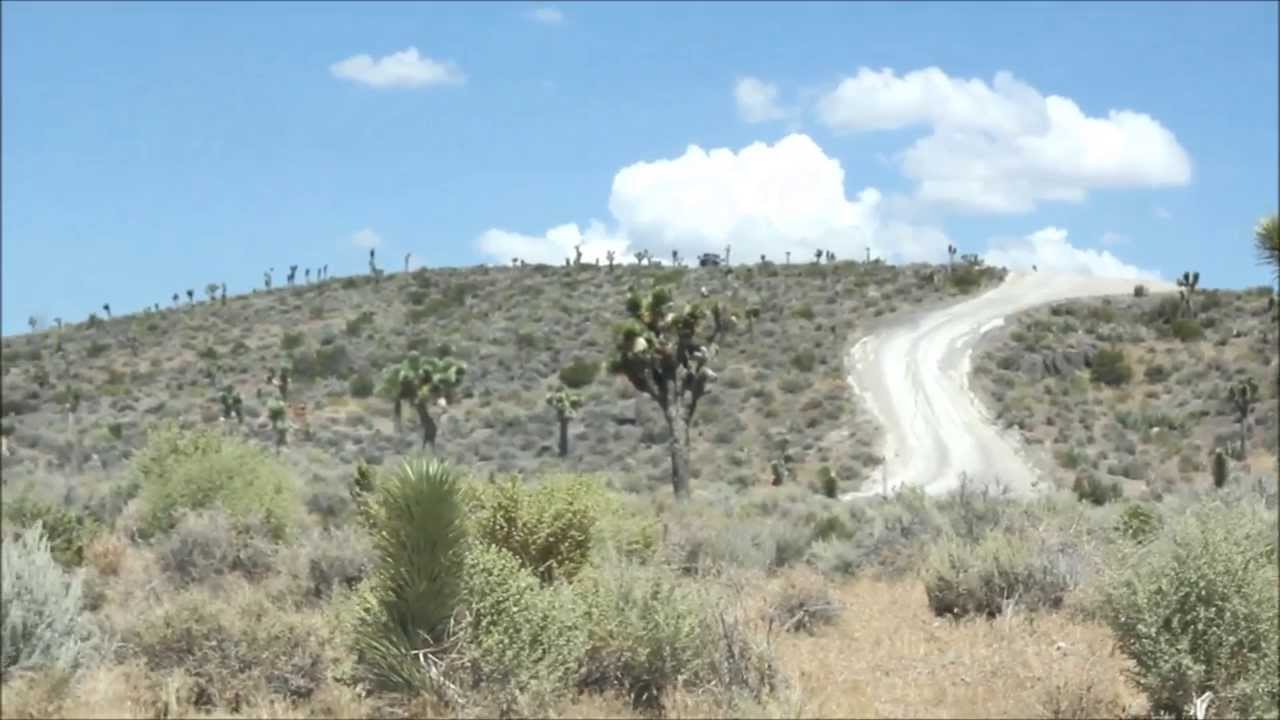Area 51 Front Gate
