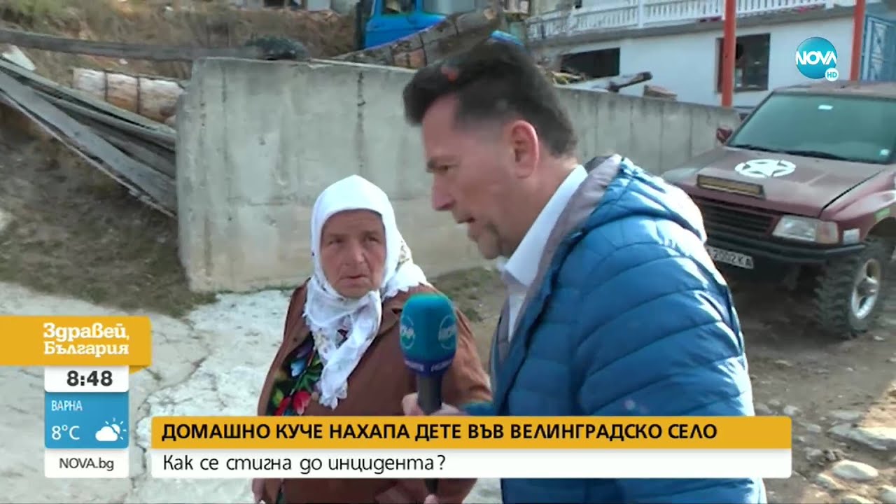 Домашно куче нападна дете във велинградско село - Здравей, България (10.11.2022)