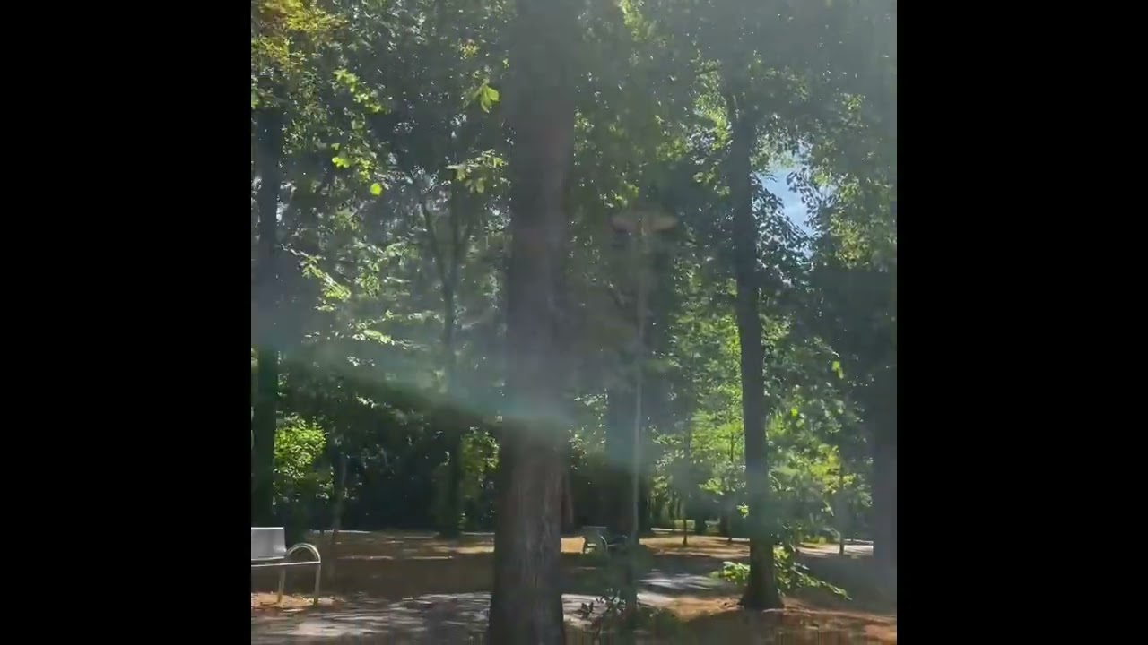Benno Bulitta: Bad Windsheim im Rollstuhl. Erkenbrechtallee und s&uuml;dlicher Kurpark