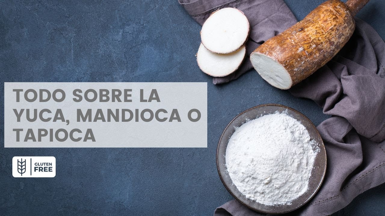 HARINA y ALMIDÓN DE YUCA: diferencias y similitudes. También llamado MANDIOCA  o TAPIOCA.