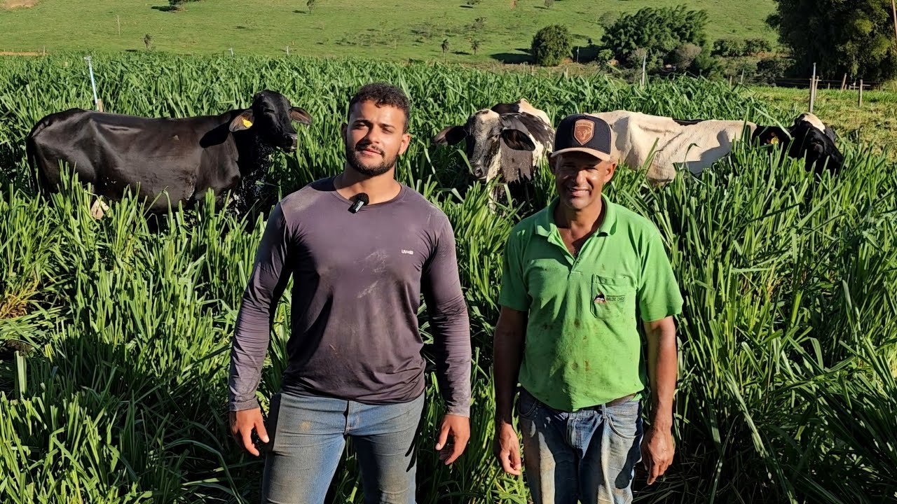 TRABALHANDO DE VAQUEIRO CONSEGUIU COMPRAR O CHÃO
