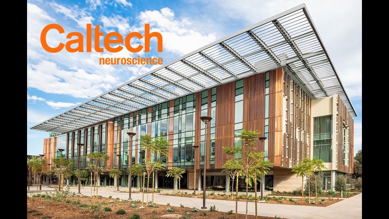 Study Neuroscience at Caltech