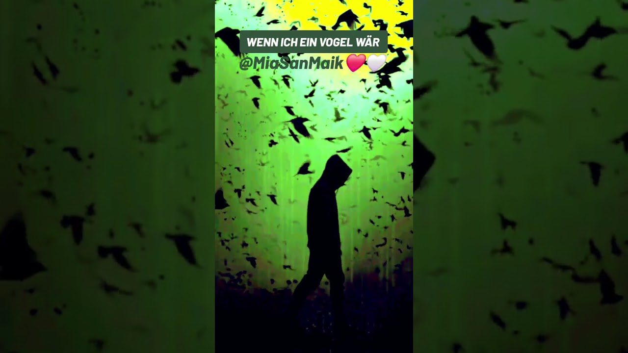 Wenn ich ein Vogel wär (MiaSanMaik)