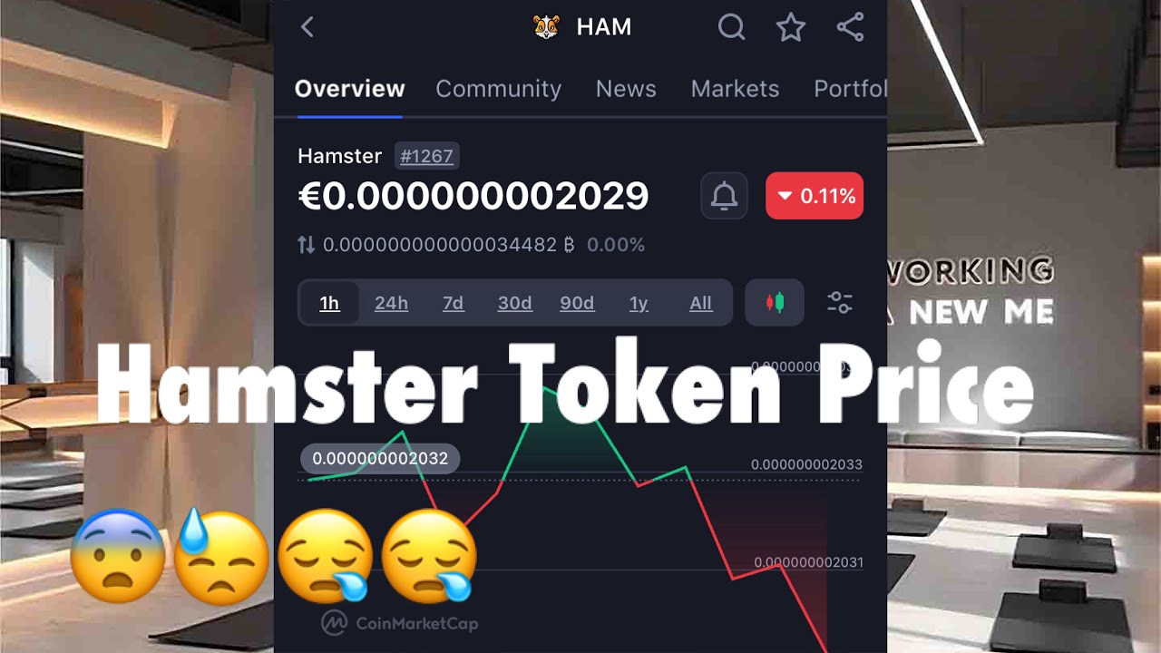 Hamster Token Not Worth it, is a scam | Hamster Kombat Token Price today | Tapswap sale price