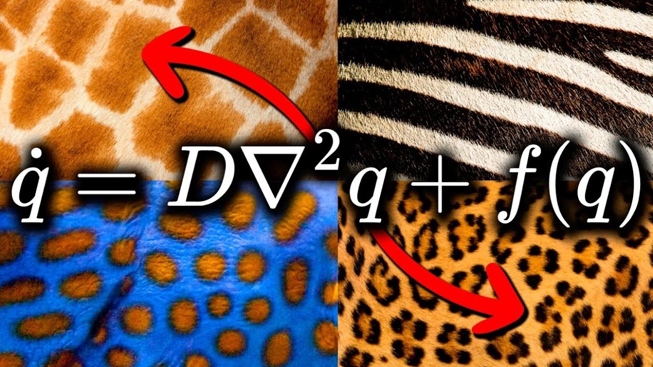 Como se forman TODAS las MANCHAS 🦒🐆🦓