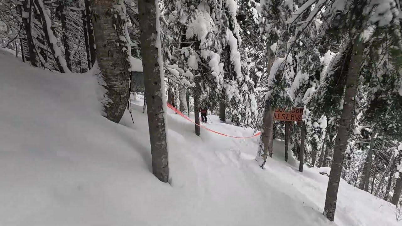 2026 01 23 Massif du sud (partie 9)