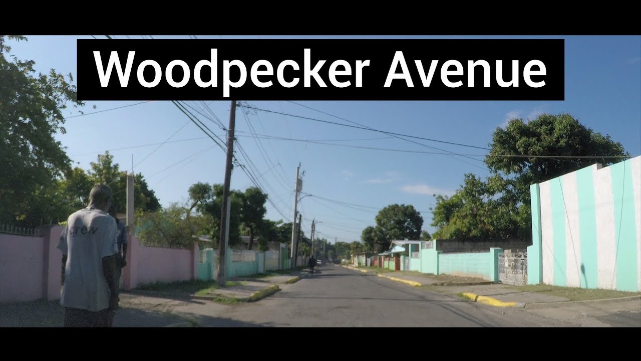 Woodpecker Avenue, Cockburn Gardens, Kingston, Jamaica