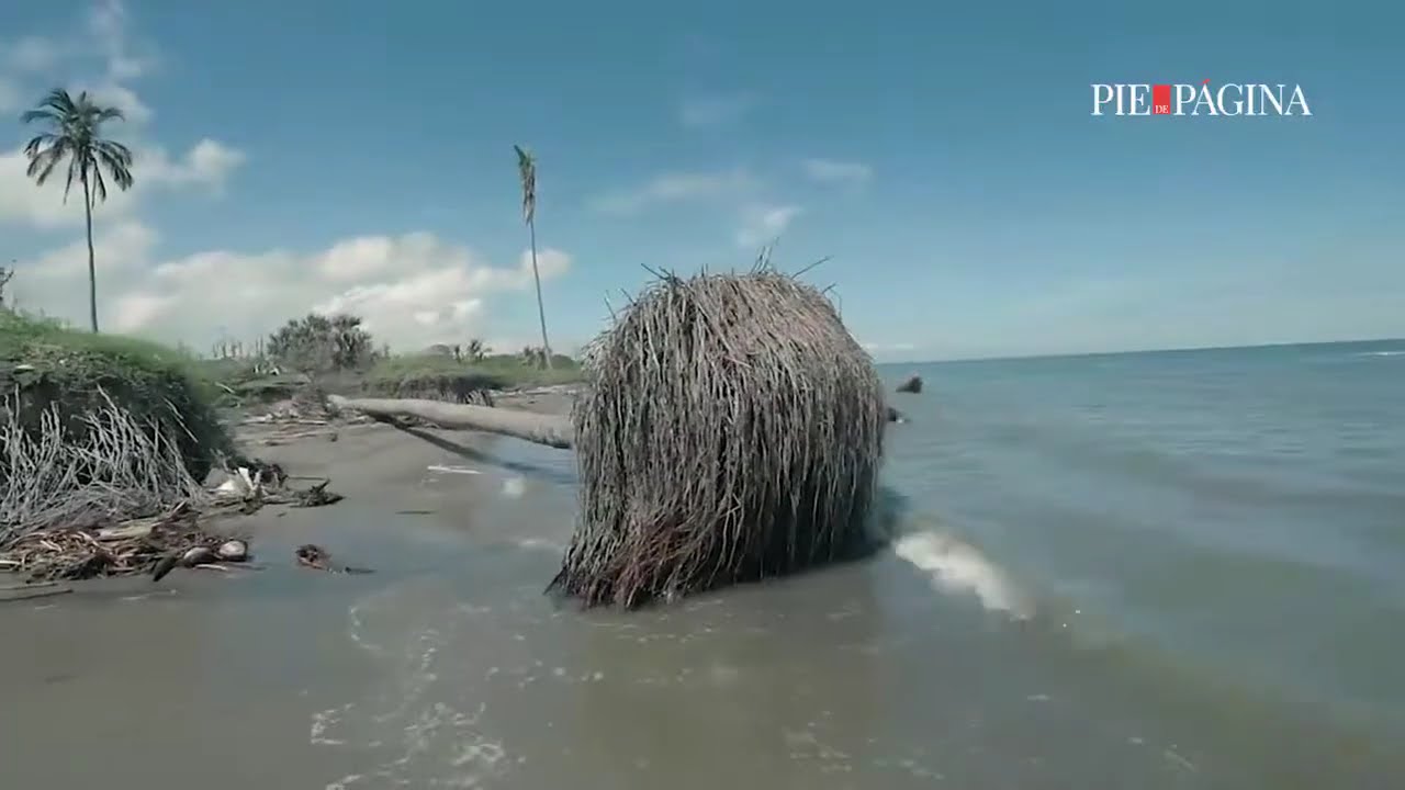MÉXICO - Erosión devora las playas