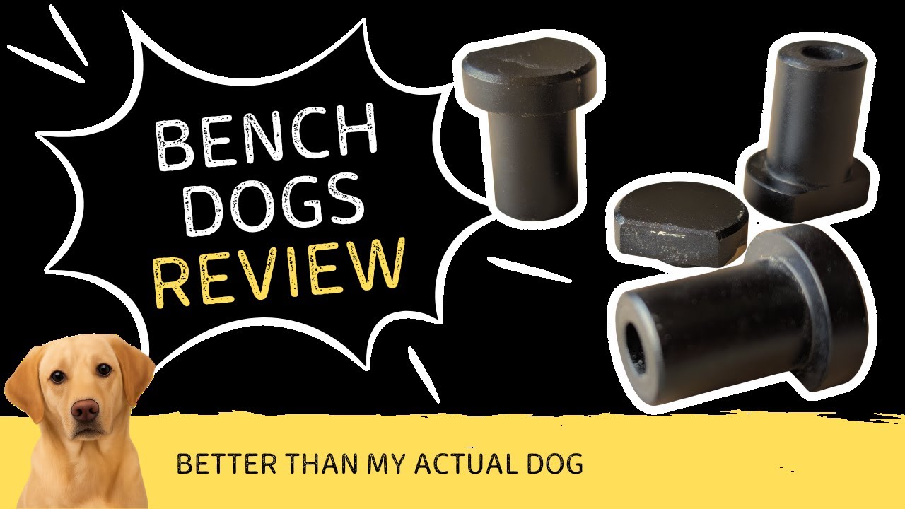 These Bench Dogs Are Better Than My Actual Dog | Workshop Must-Have
