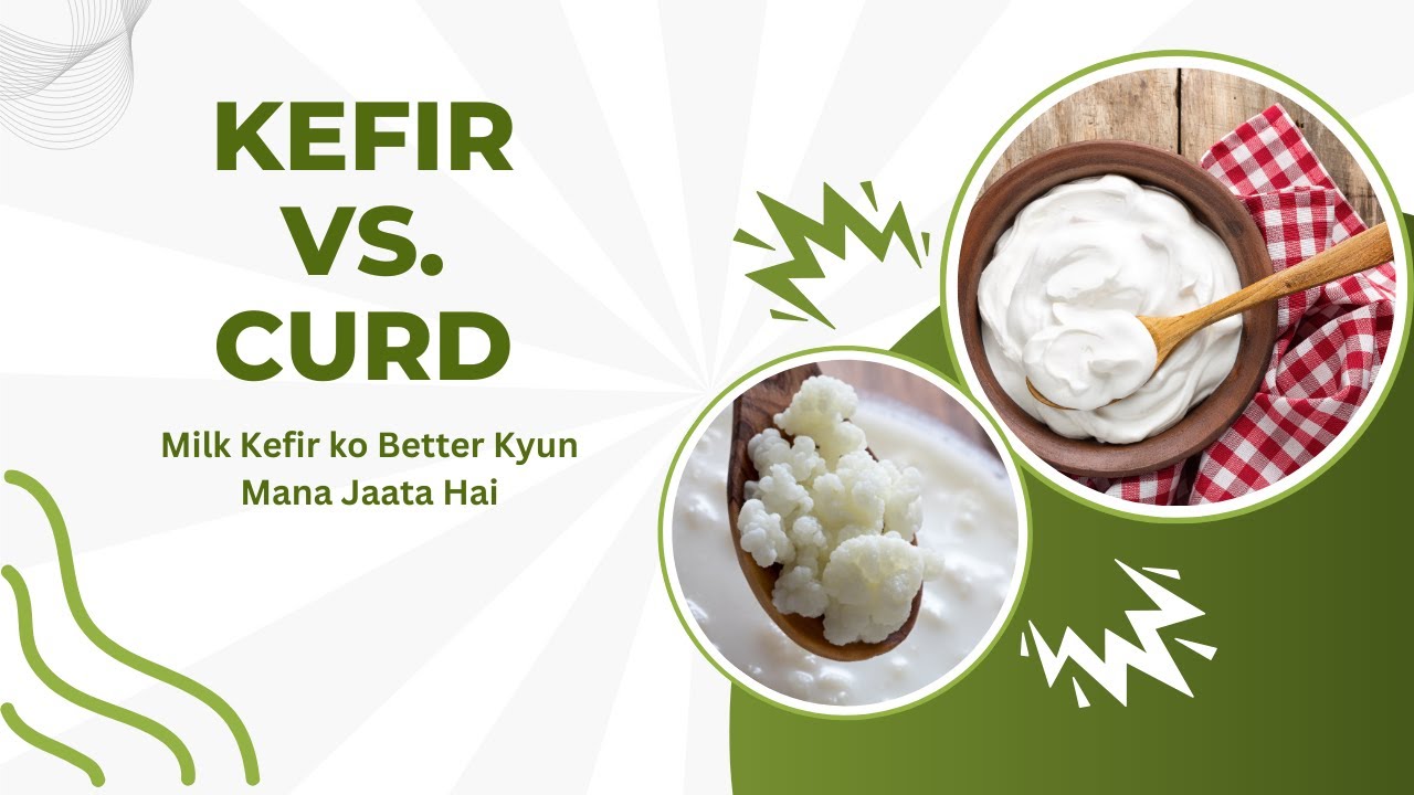 Kefir Vs. Curd #healthforever #MilkKefir #Curd