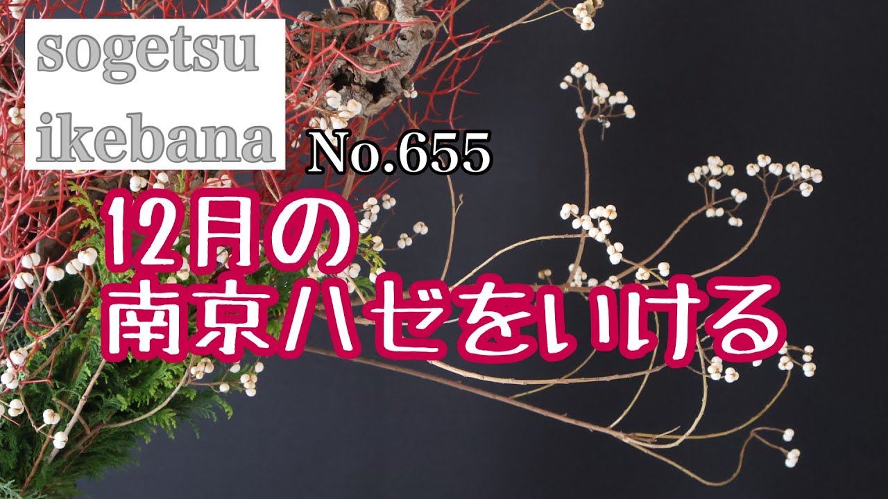 12月の南京ハゼをいける　No.655