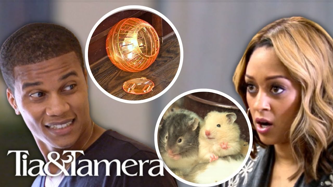 Tia Mowry Gets Her Son Cree A Pet Hamster Against Corey Hardrict’s Wishes | Tia & Tamera | E!