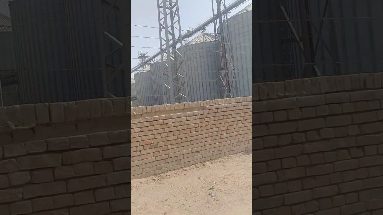 itna bara celo#foryou #popular #viral #shortvideo #village #vilog