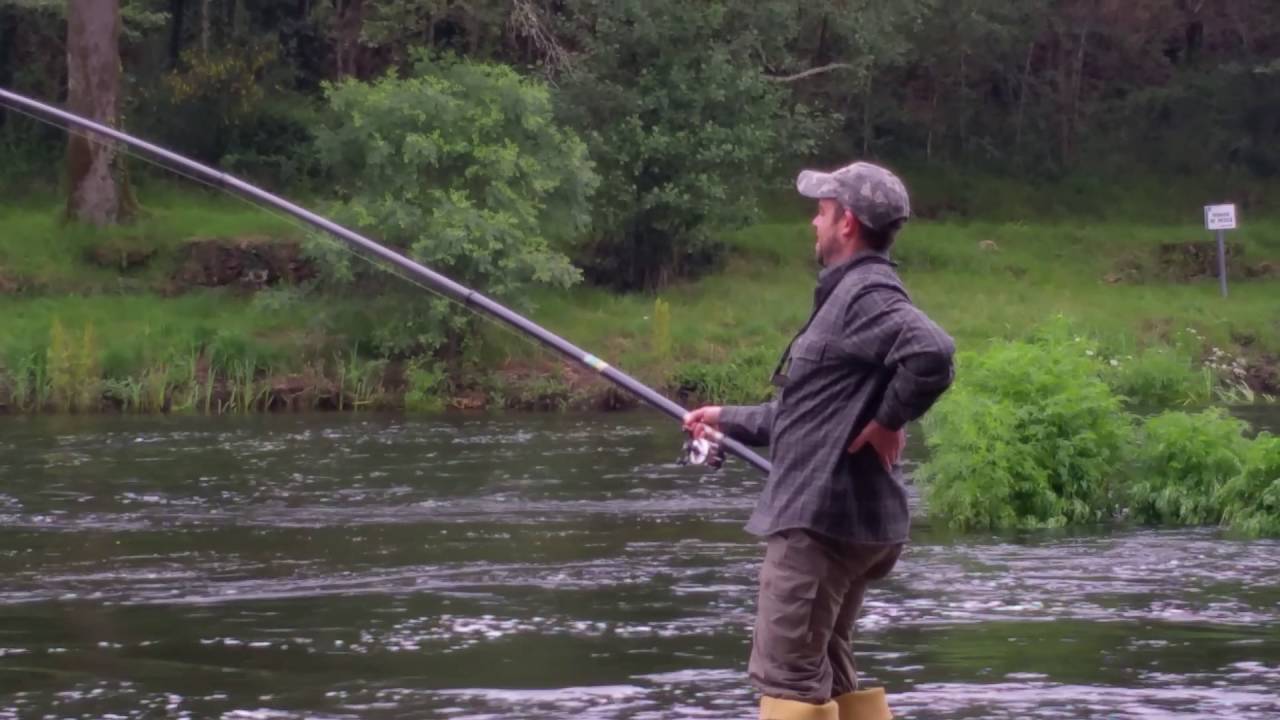 Salmón de Roberto Ibáñez en ximonde. Ás orillas do Ulla.
