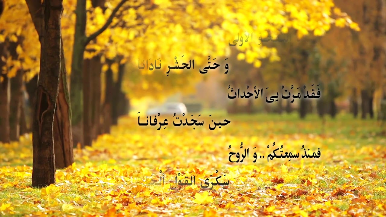 قصيدة : أشهد - غلاف ديوان : البريق - أشعار و إلقاء : عبدالله/ صلاح الدين القوصى
