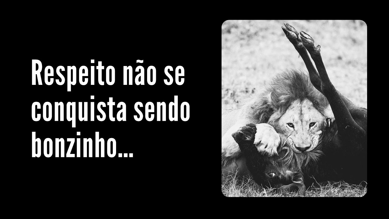 Seja PERIGOSO, não fraco! O segredo para vencer na vida e ser respeitado.