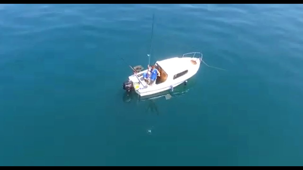 PESCA in MARE dalla BARCA: A PESCA DEGLI SGOMBRI in ADRIATICO con le canne Artico | Pesca TV