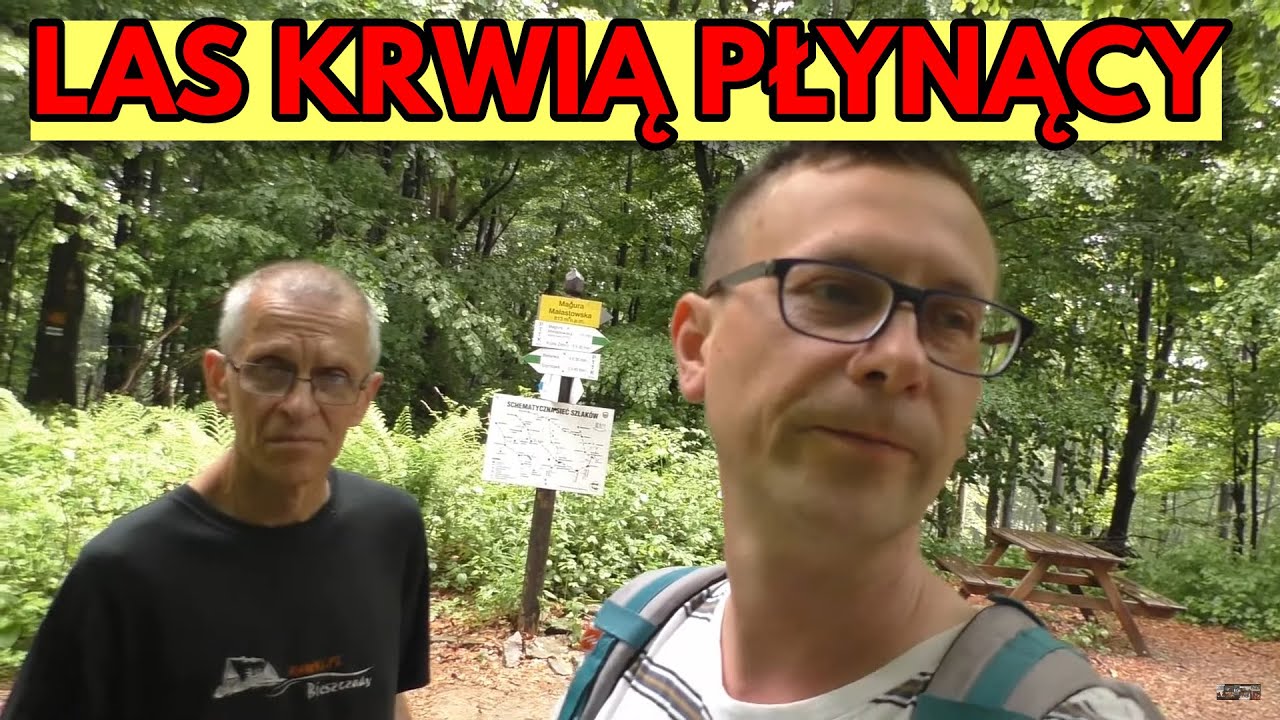 LAS, KTÓRY PIJE LUDZKĄ KREW - BESKID NISKI