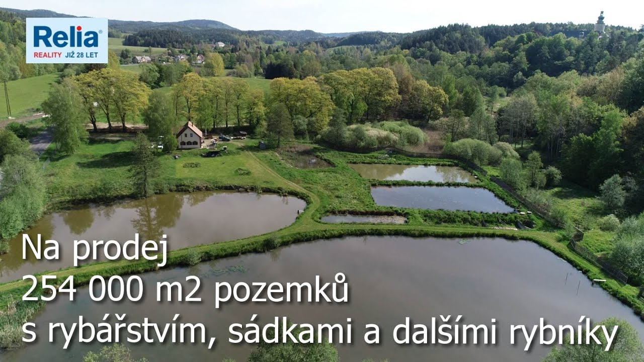 Na prodej rybn&iacute;ky se s&aacute;dkami a prodejnou ryb pod z&aacute;mkem Lemberk - PROD&Aacute;NO