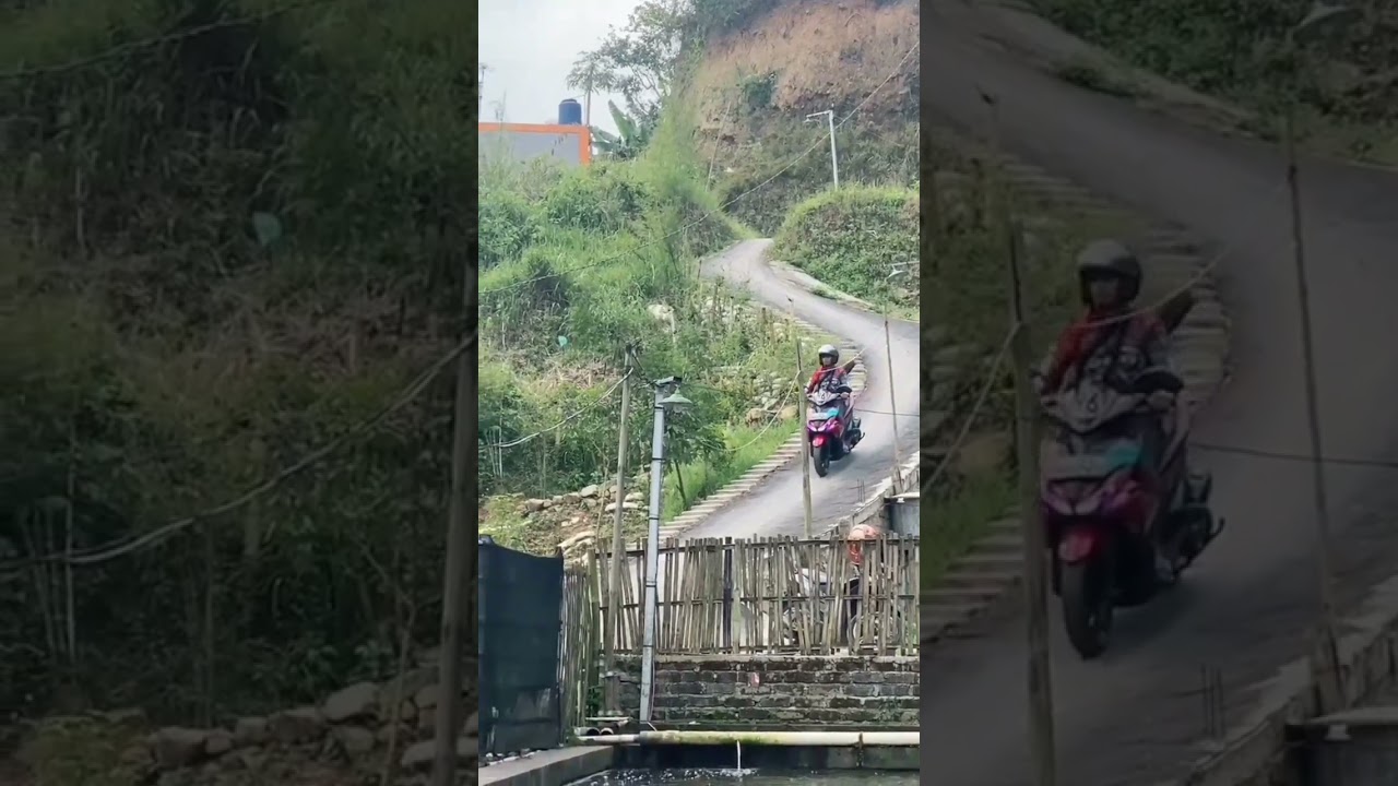 mancing ikan #mancingikan #mancingmania #mancing #mancingliar #galatamapatin #galatamamas #galatama
