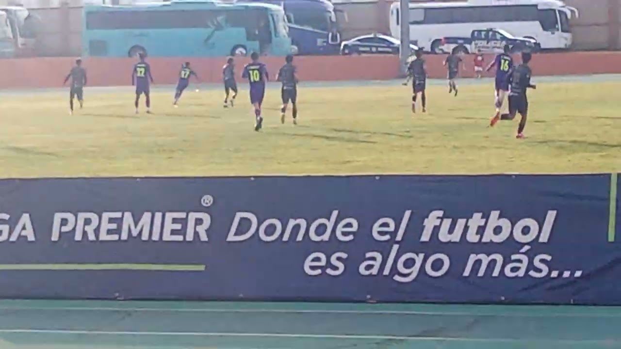 11 de enero de 2026