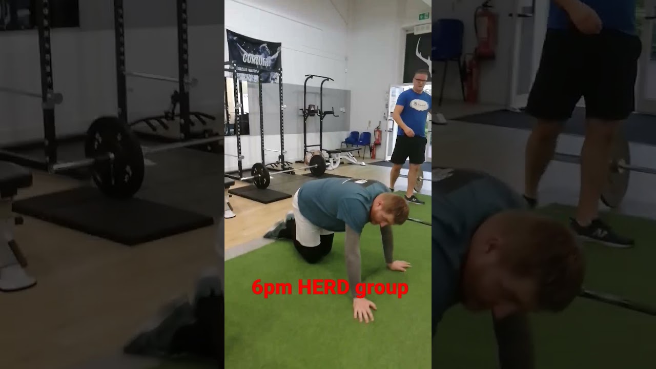 HERD group class STAG Fitness #shorts