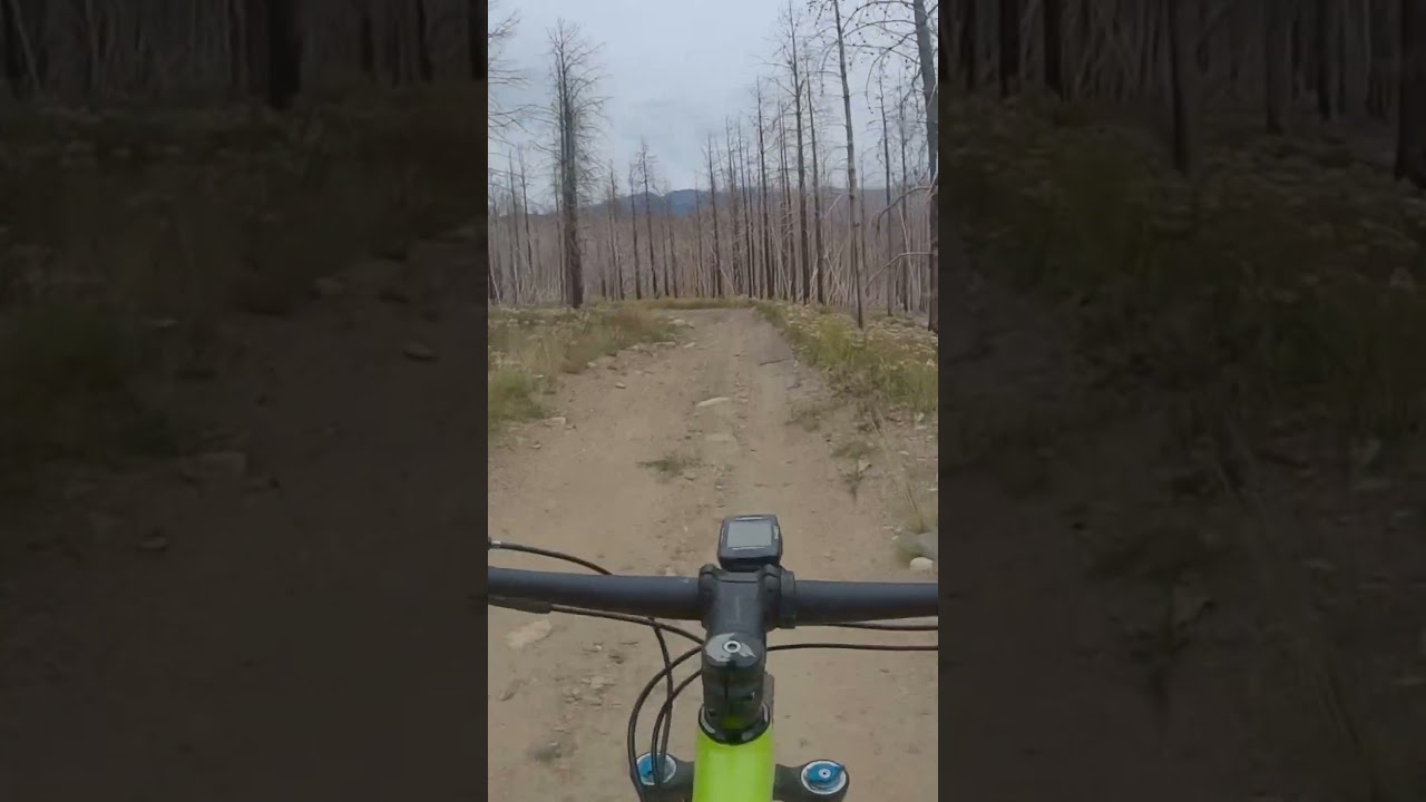 MTB After a Wildfire! #bike #bikelife #mtb #mtblife #cycling #wildfire #bikelover #colorado #fire
