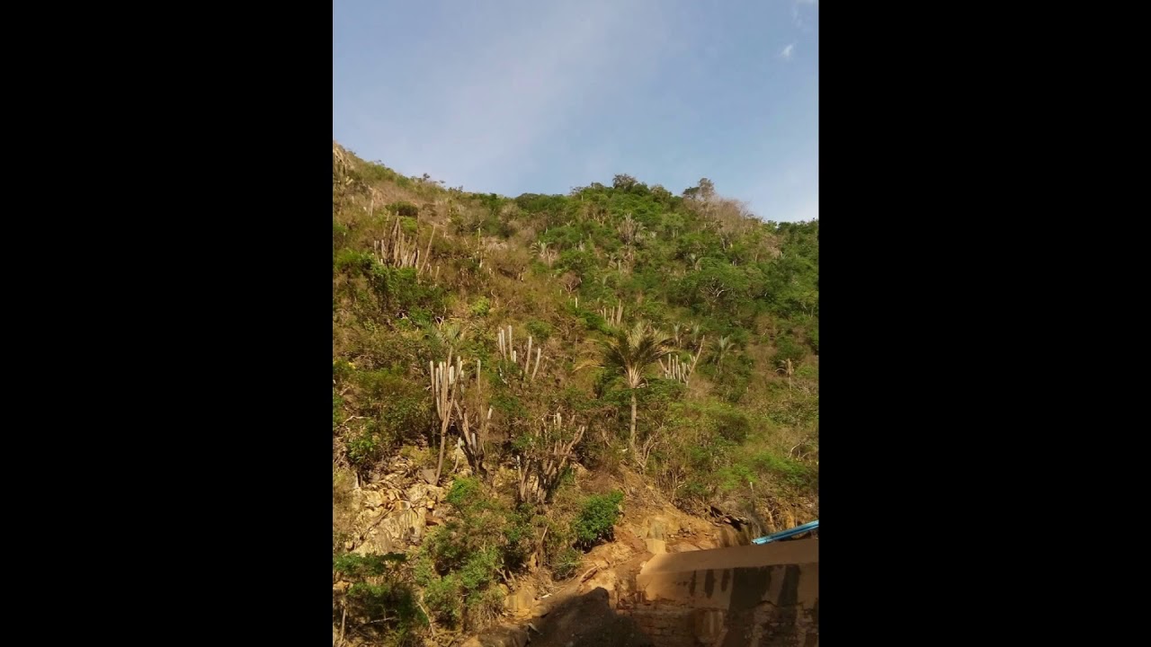 Contendas pindai minha terra