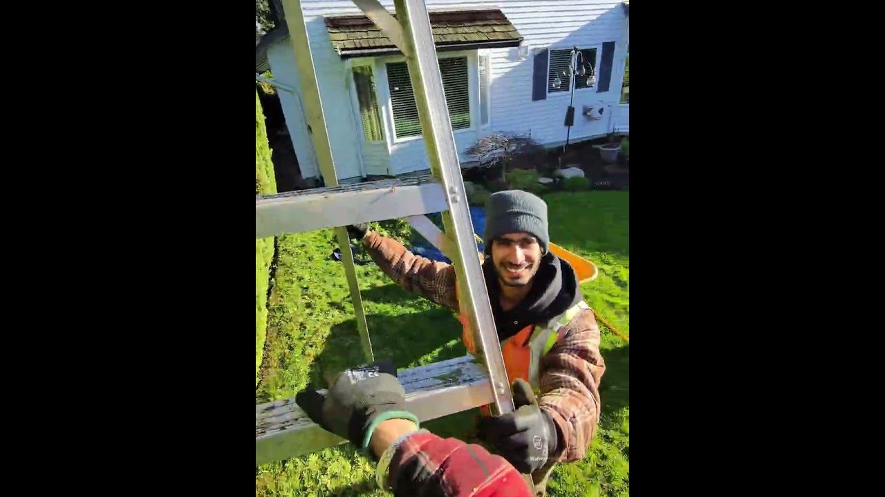 Landscaping Save green