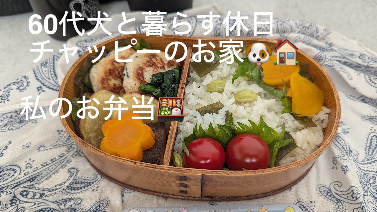 	60代犬と暮らす休日／お弁当作りと朝ごはん／お知らせ／犬🐶