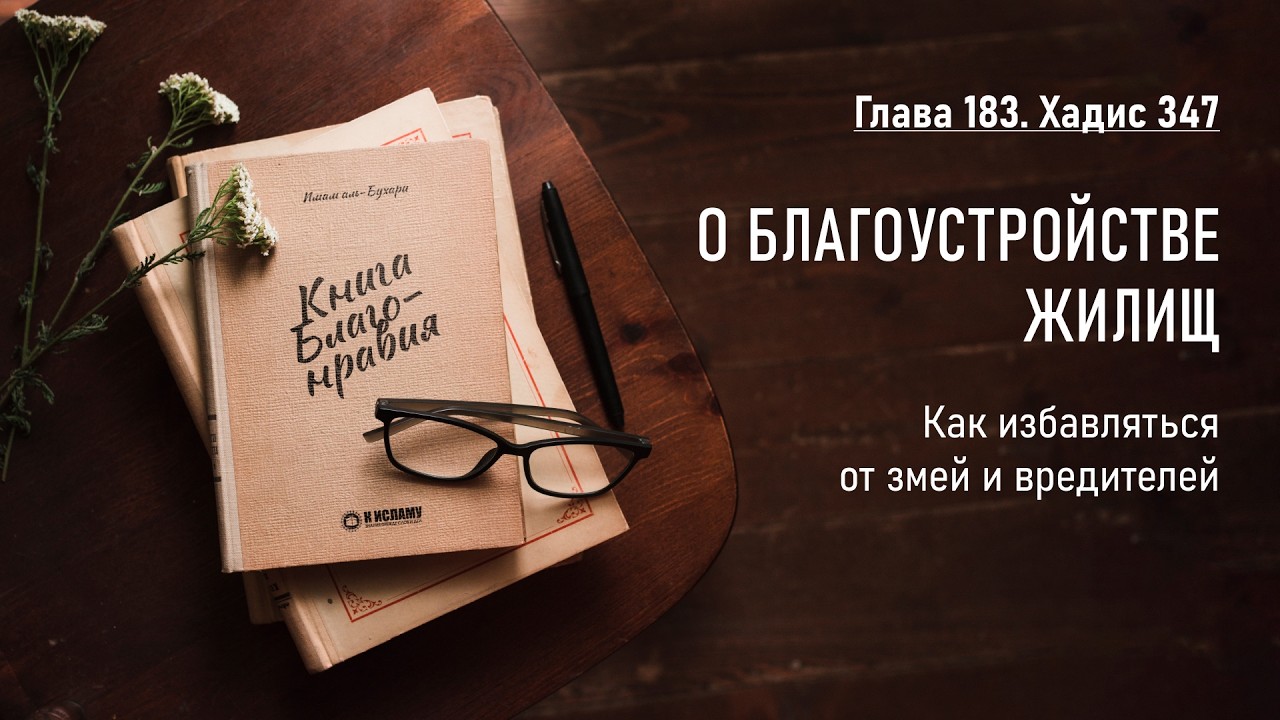 183. Книга благонравия. Хадис 347. О БЛАГОУСТРОЙСТВЕ ЖИЛИЩ. Как избавляться от змей и вредителей